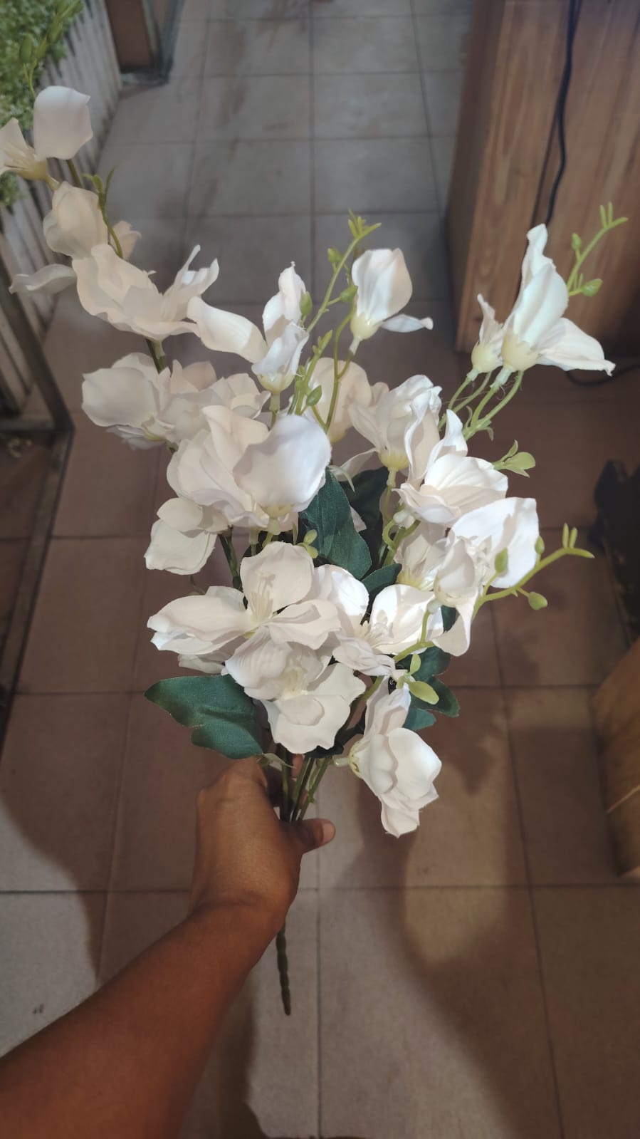 Delphinium bunch