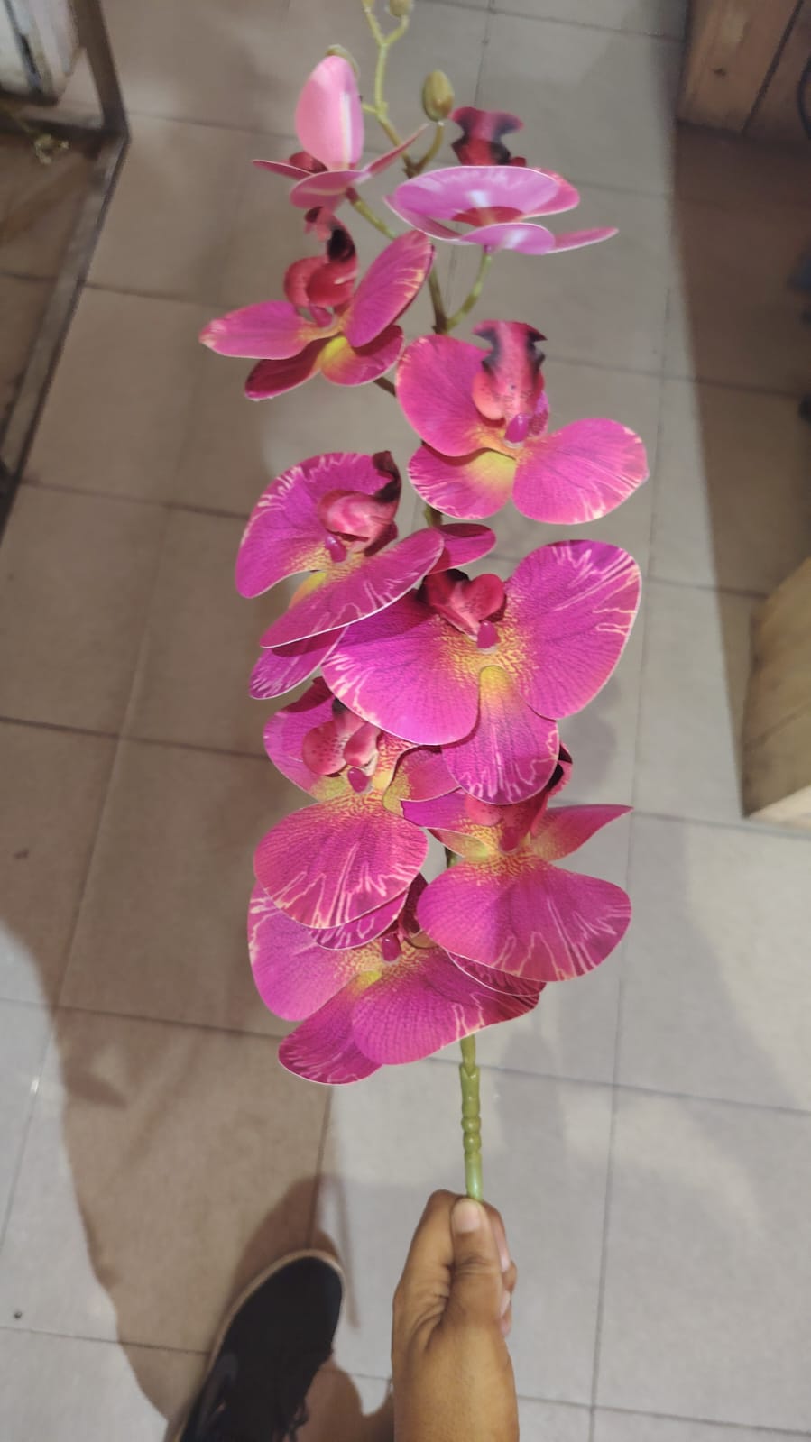 Orchid sprig