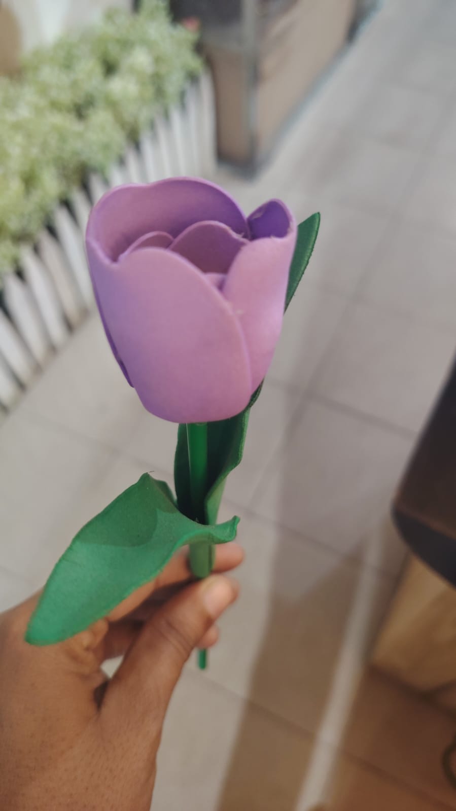 tulip