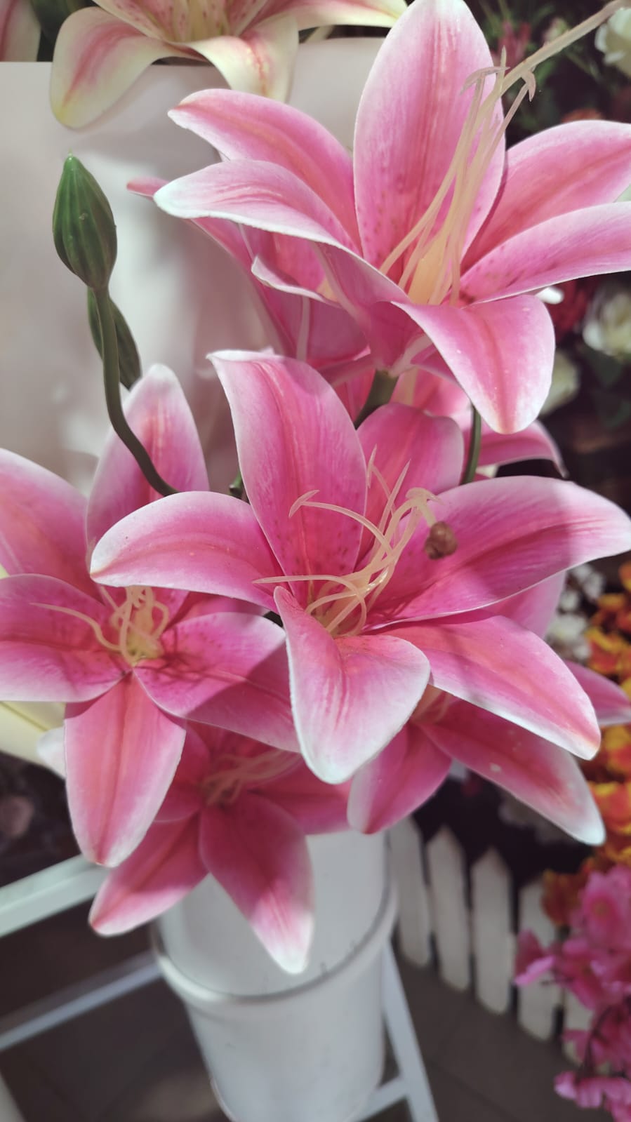 Tiger lily