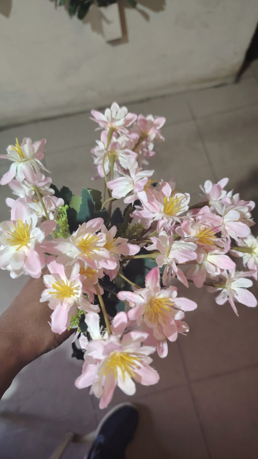 star flower bunch