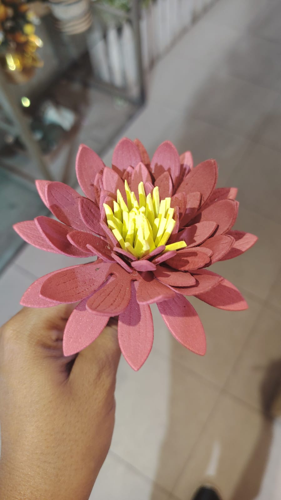lotus flower